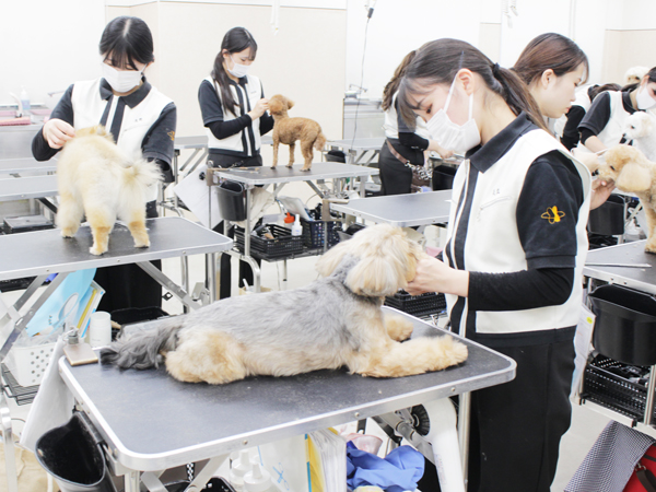 ２年生はお客様の愛犬とスキルアップ♪